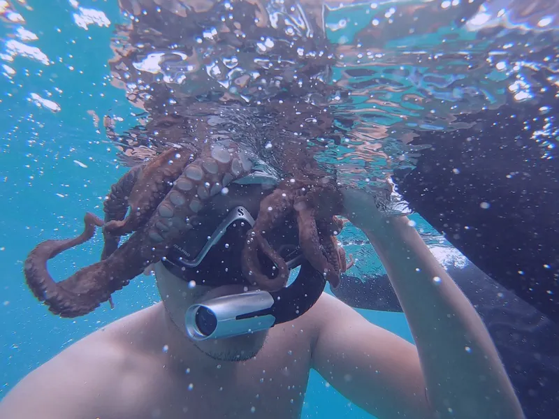 Radoslav with an octopus